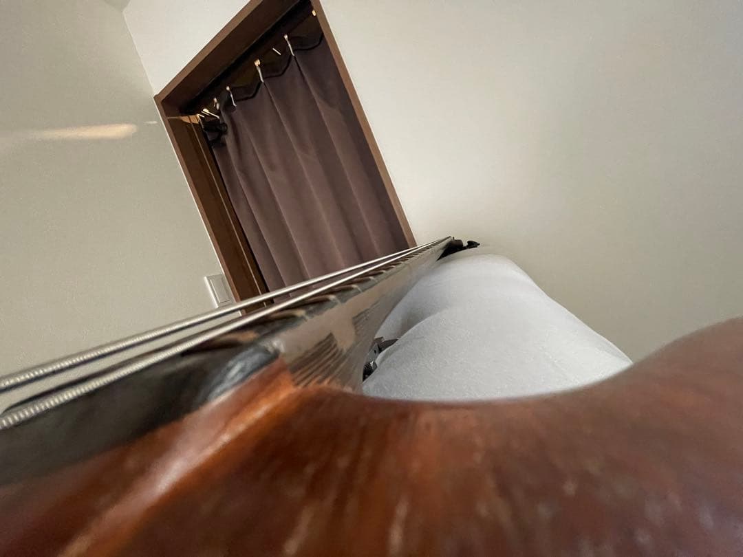 warwick thumb bass 改造品　一部訳アリ