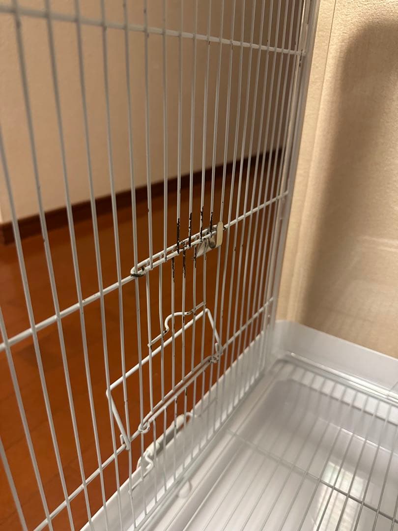 クリアバード40 37