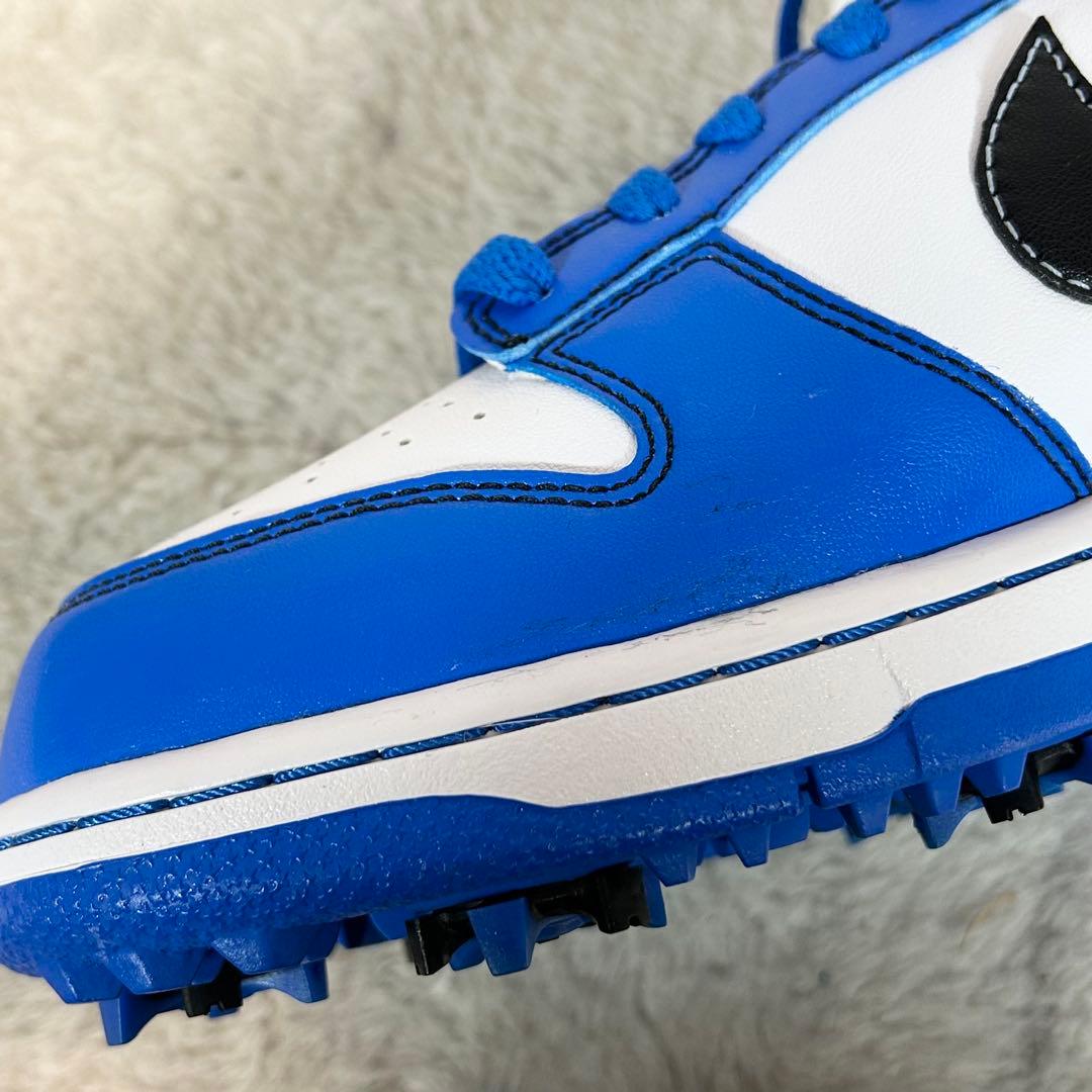 未使用❗️NIKE GOLF DUNK LOW NG SL ゴルフシューズ　25