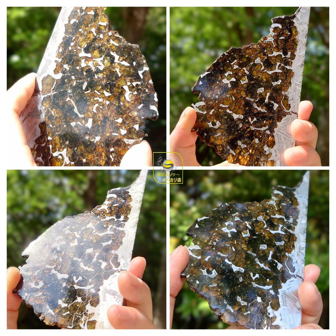 隕石 セイムチャン パラサイト 117.3g ⭐