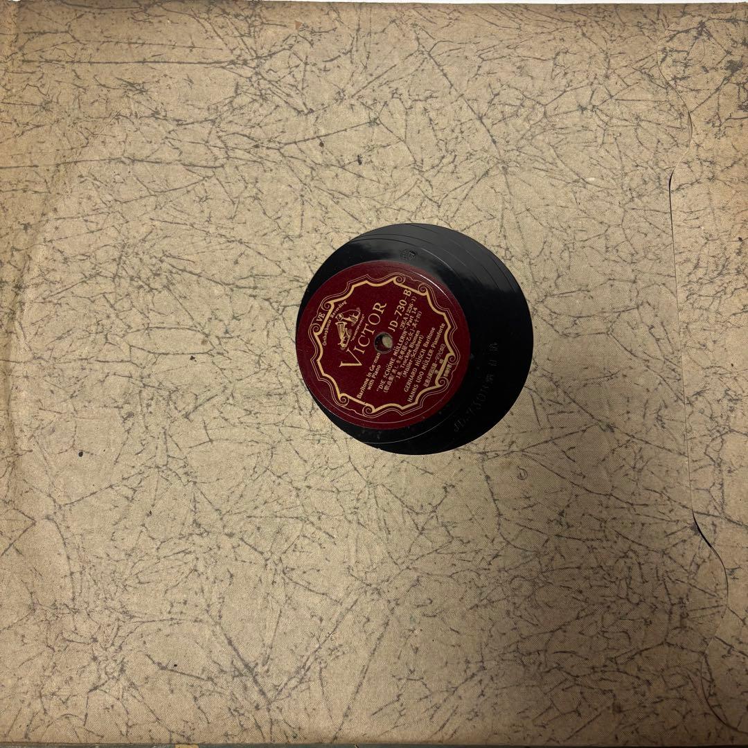 （シューベルト：美しき水車小屋の娘） レコード