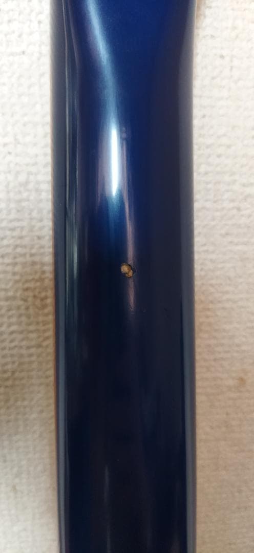 Rickenbacker 600シリーズ ブルーエレキギター