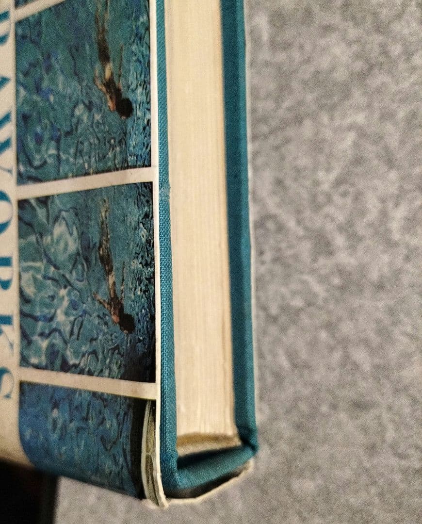 David Hockney Cameraworks デビッド・ホックニー