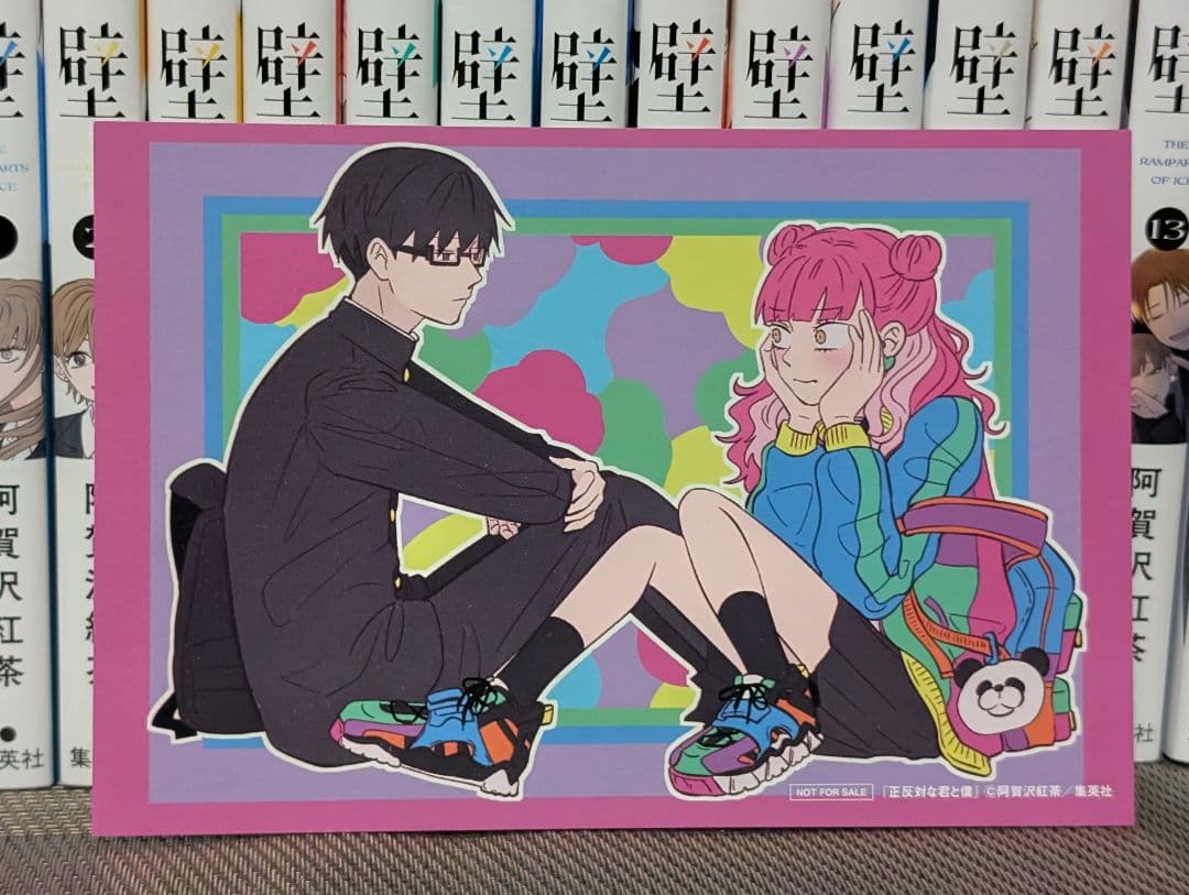 【22冊】 氷の城壁 正反対な君と僕