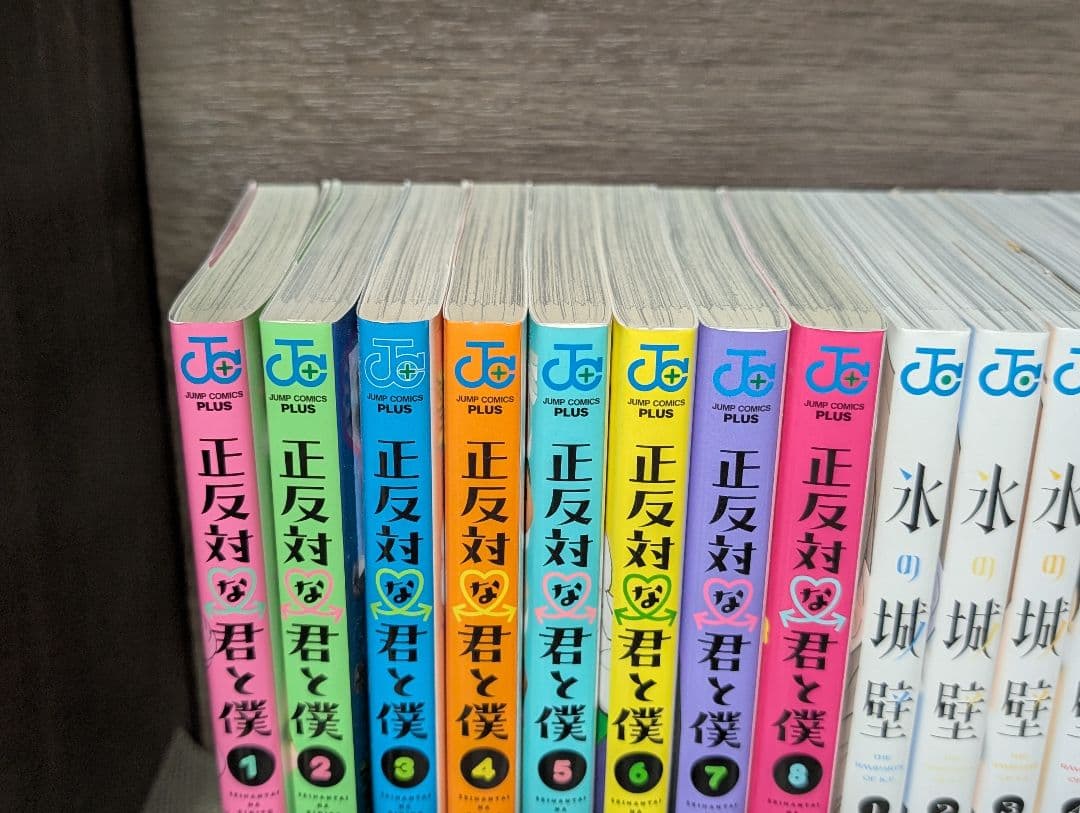 【22冊】 氷の城壁 正反対な君と僕