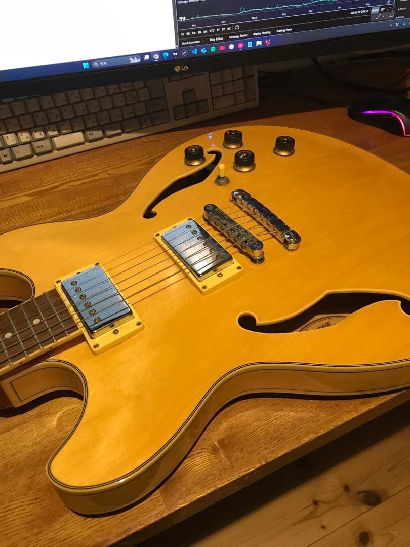 Ibanez セミアコースティックギター AS73D