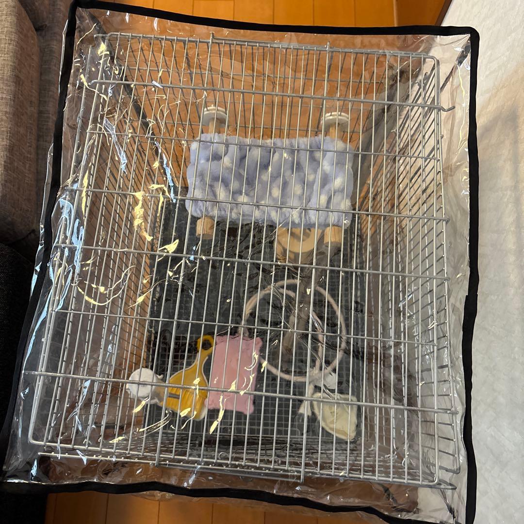 イージーホーム40ハイ・色々セット、おまけ砂浴び