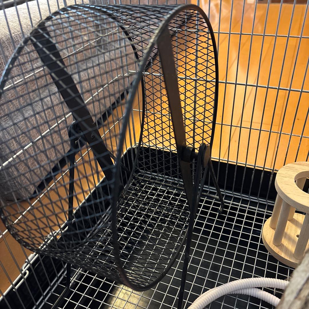 イージーホーム40ハイ・色々セット、おまけ砂浴び