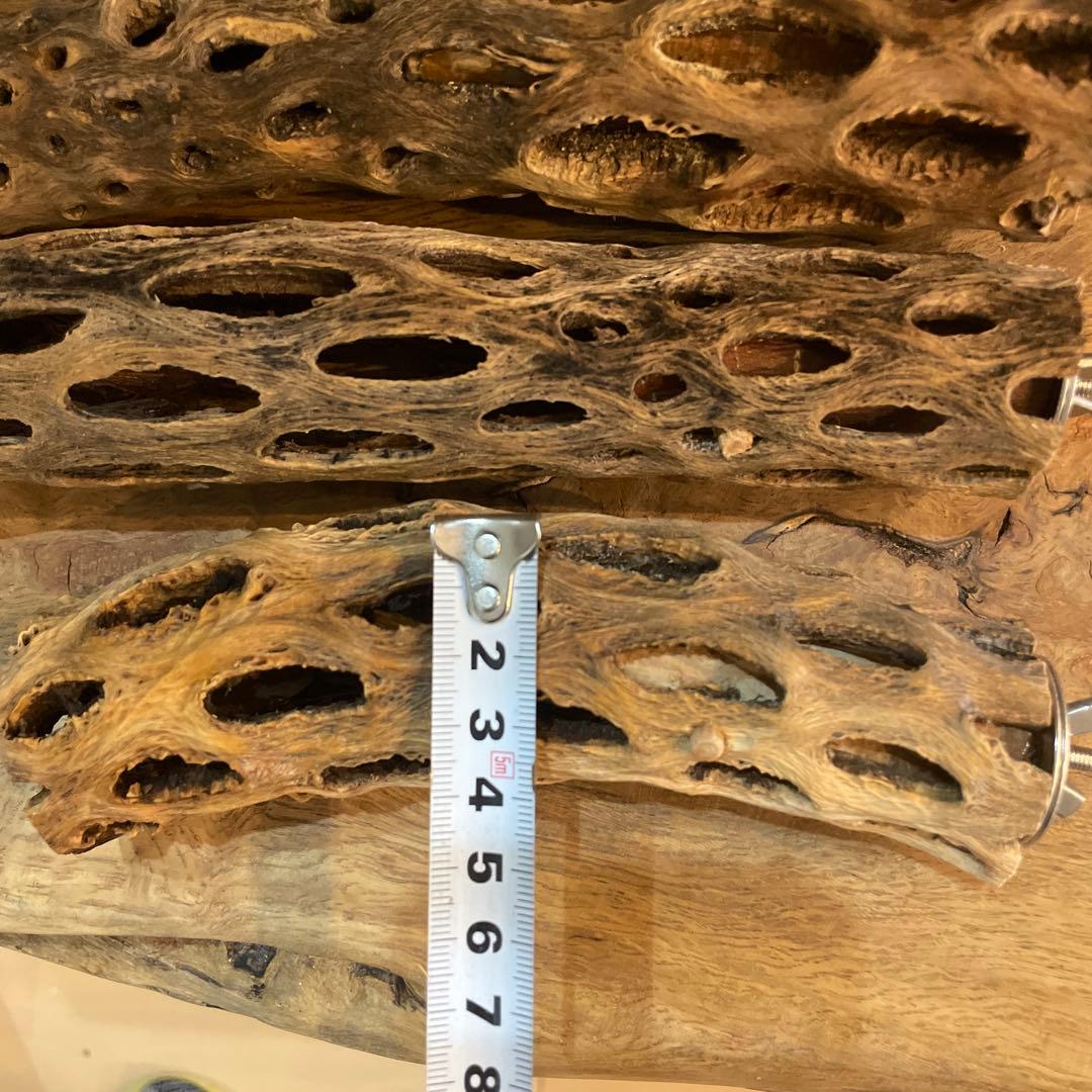 【まるさん専用】オーダーメイドカクタスパーチ相談ページ