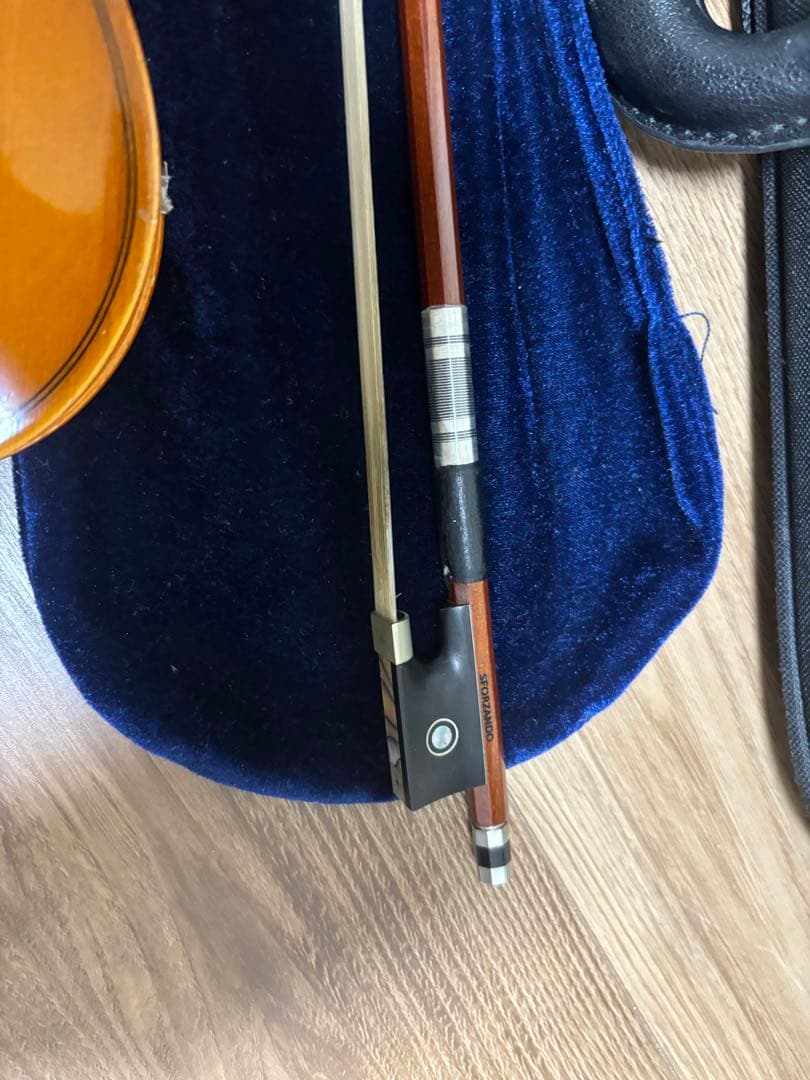 Redlin バイオリン 2020年モデル ケース付き