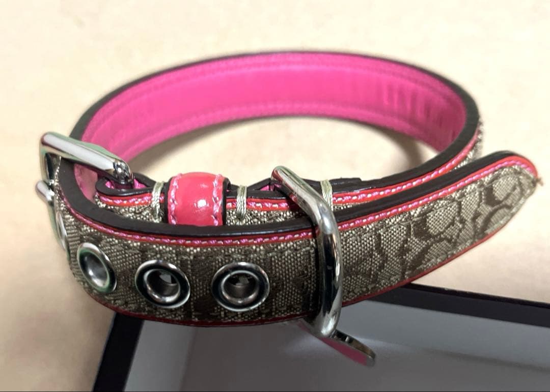 首輪・リードセット COACH