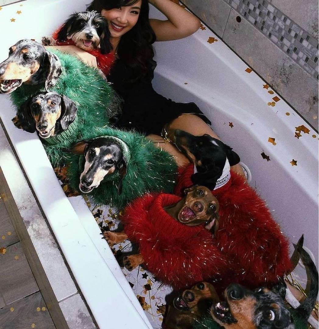 犬服・アクセサリー maxbone Christian Holiday Glitz Jumper