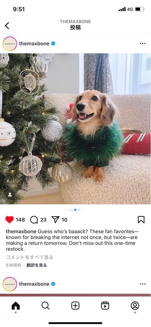 犬服・アクセサリー maxbone Christian Holiday Glitz Jumper