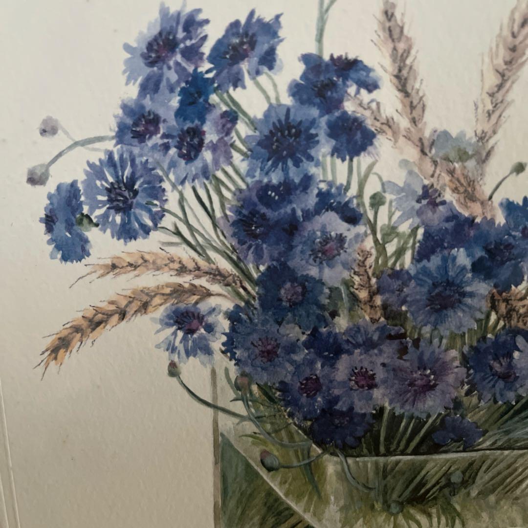 【限定品】 Fujico 矢車草　ボタニカルアート