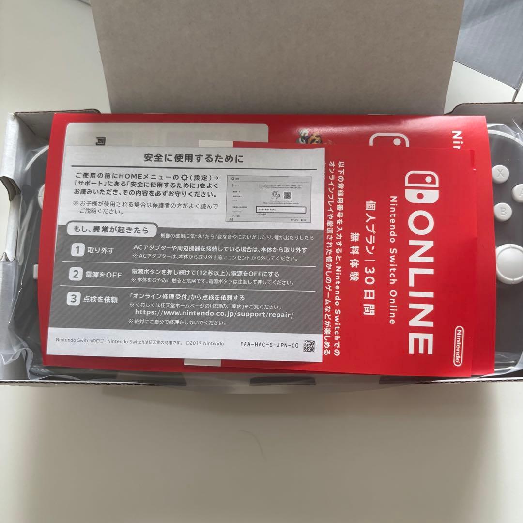 Nintendo Switch Lite グレー 本体 ケース、SD付き