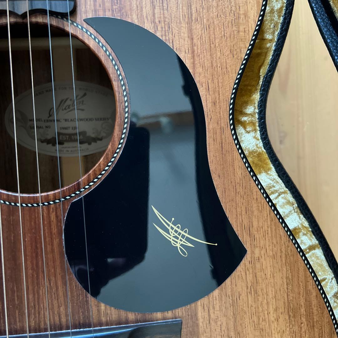 Maton メイトン EBW808C 中古