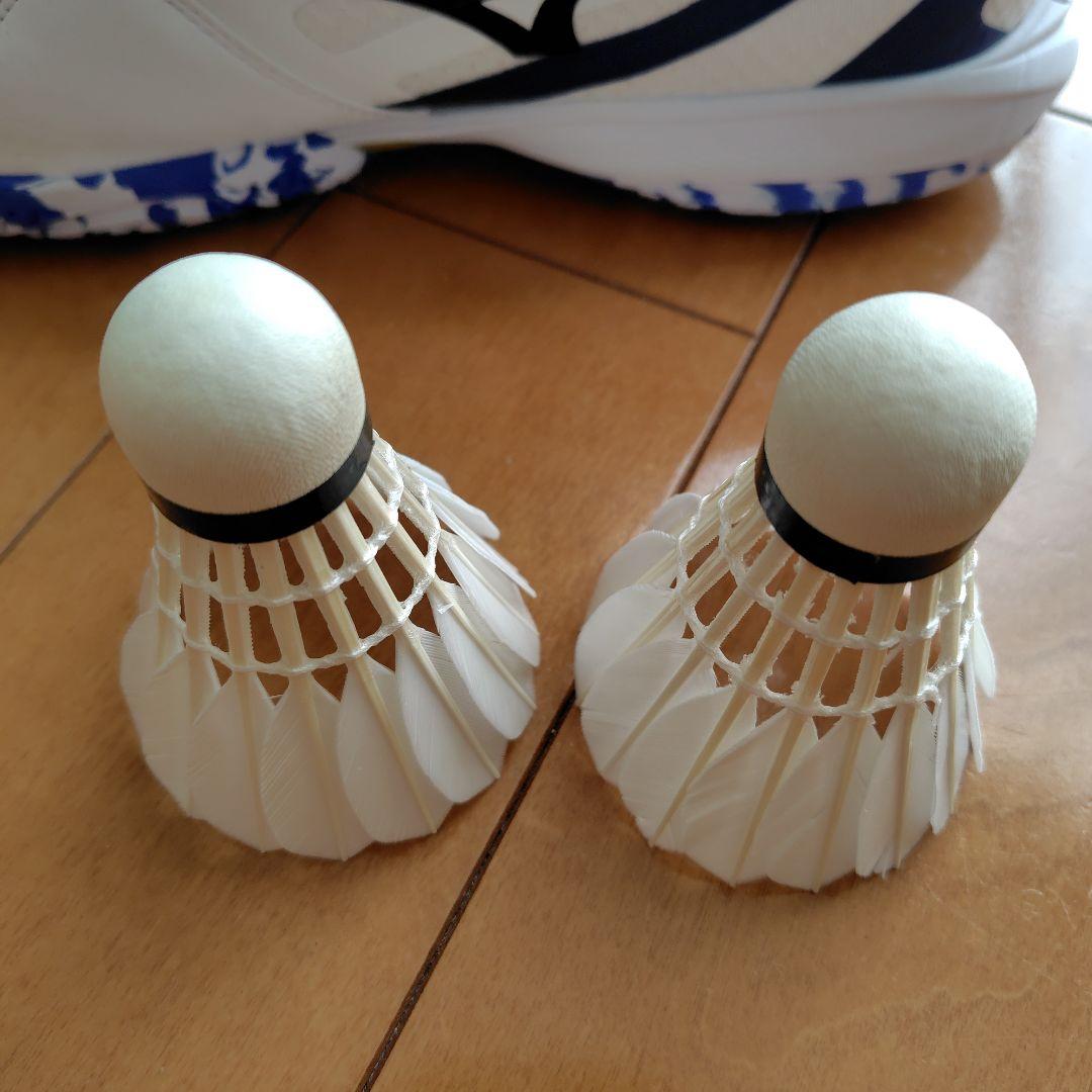 ミズノ ウェーブクロー4 FIT バドミントンシューズ WAVE CLAW4