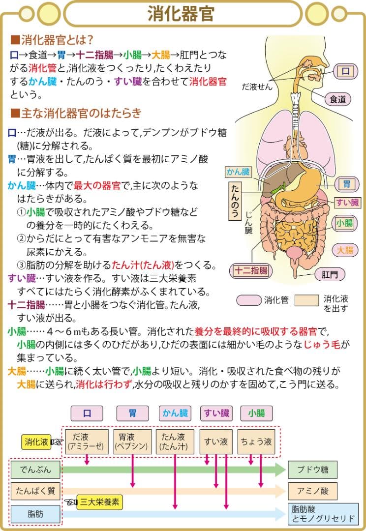 ☆中学受験・理科　頻出用語・ポイントにしぼったまとめカード、セット商品