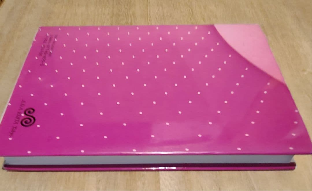 建築を極めたいかたに推薦！すごい内容の貴重本！「建築のエッセンス」齋藤裕 著