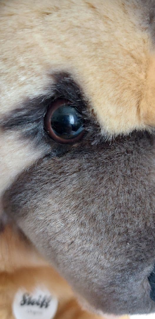 まとめ売り　シュタイフ　ぬいぐるみ　2種　クオッカ　シェパード　犬　プレゼント