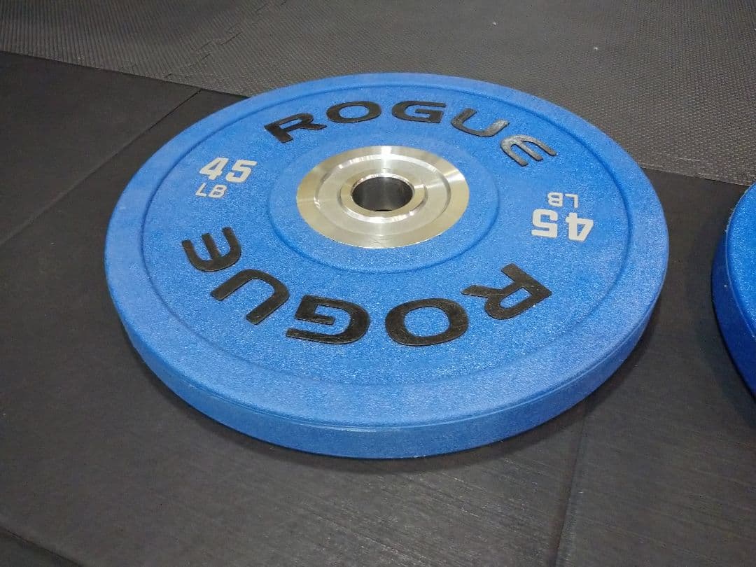 ROGUE　ウレタン製バンパープレート（約20㌔）×2枚