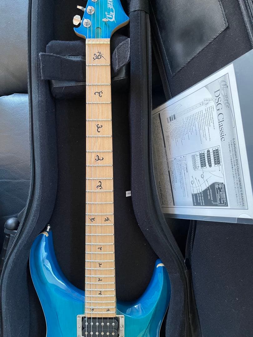 【激レア】G-Life Guitars DSG Classic ロイヤルブルー