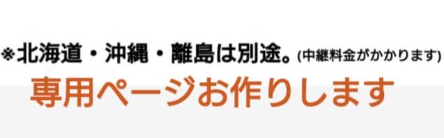 和装トルソー　ホワイト　着付け練習用ボディ　和装ボディ　着付けマネキン　日本製