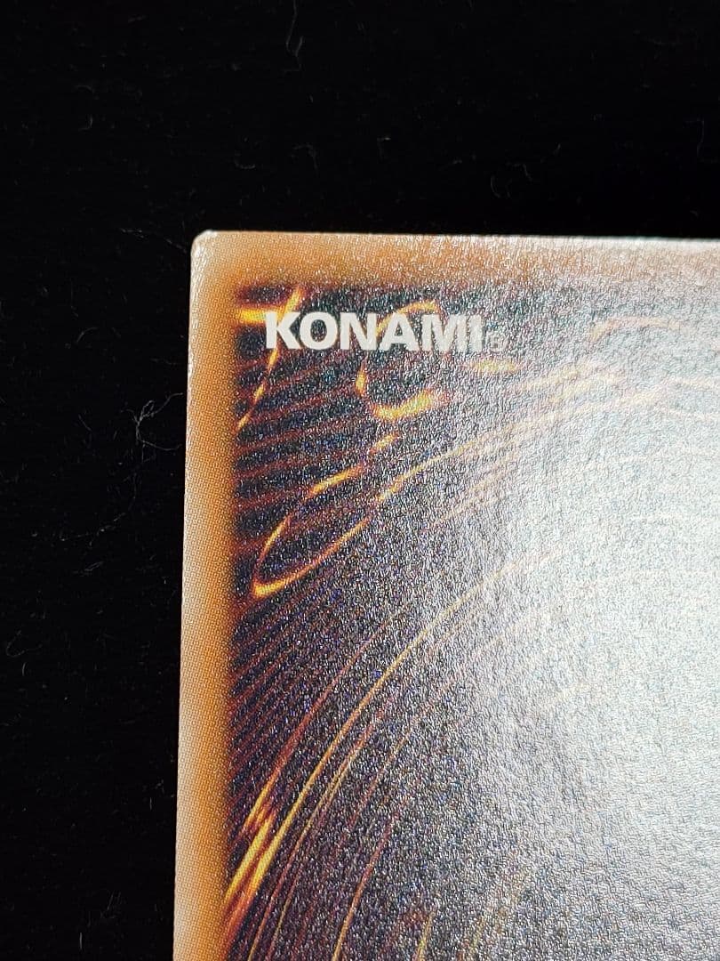 ブラック・ローズ・ドラゴン ホロ