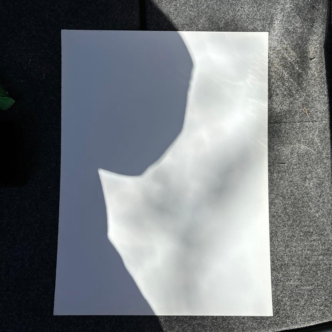 ゲームセンター限定非売品・新品未使用・初音ミク[3Dポスター]