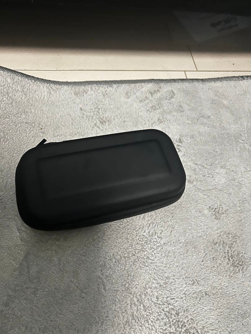 Nintendo Switch Lite 本体2台 + ケース