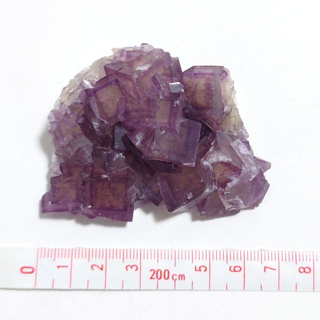 フローライト 47：ヤオガンシャン（満天星）