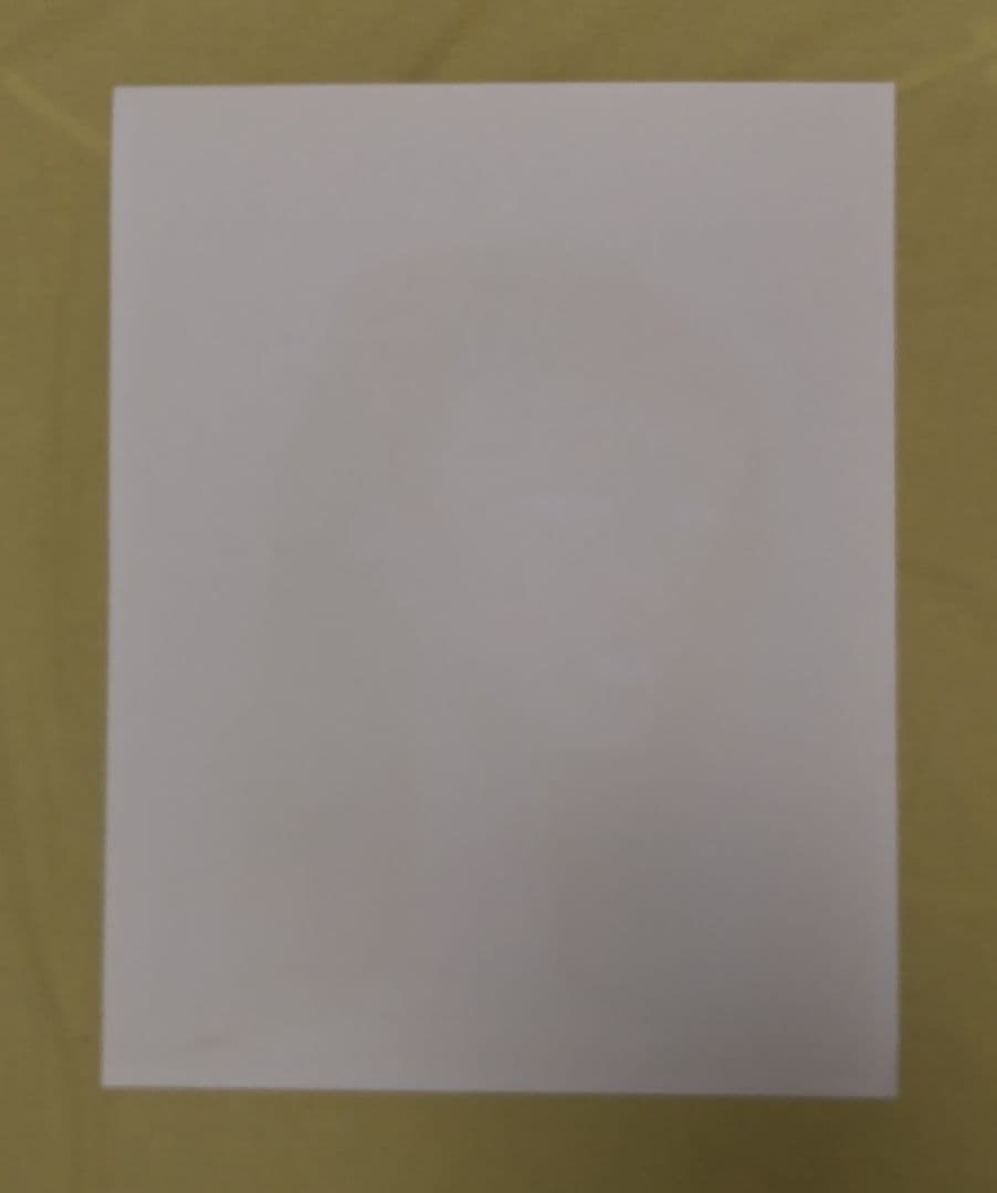 ベルナール·ビュッフェ 【MＧ】 オリジナルリトグラフポスター