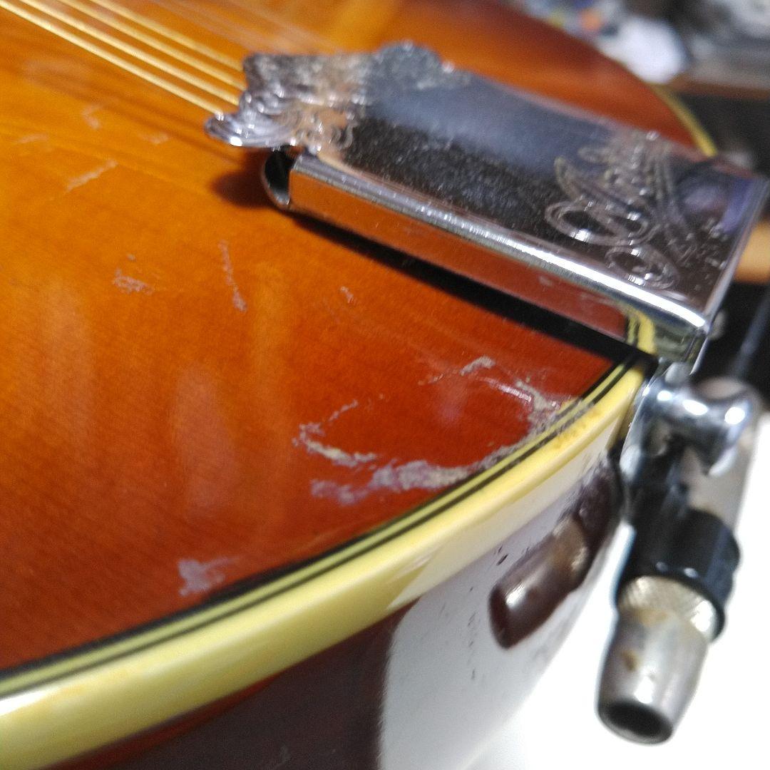 マンドリン アリアAM200