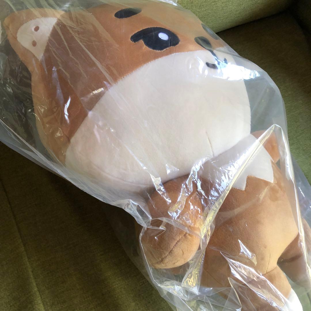 day6 denimalz ぬいぐるみジャイアントver. トレカKE ヨンケイ