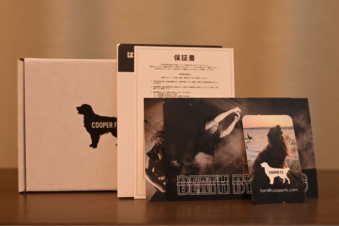 ギター Cooper FX outward v2