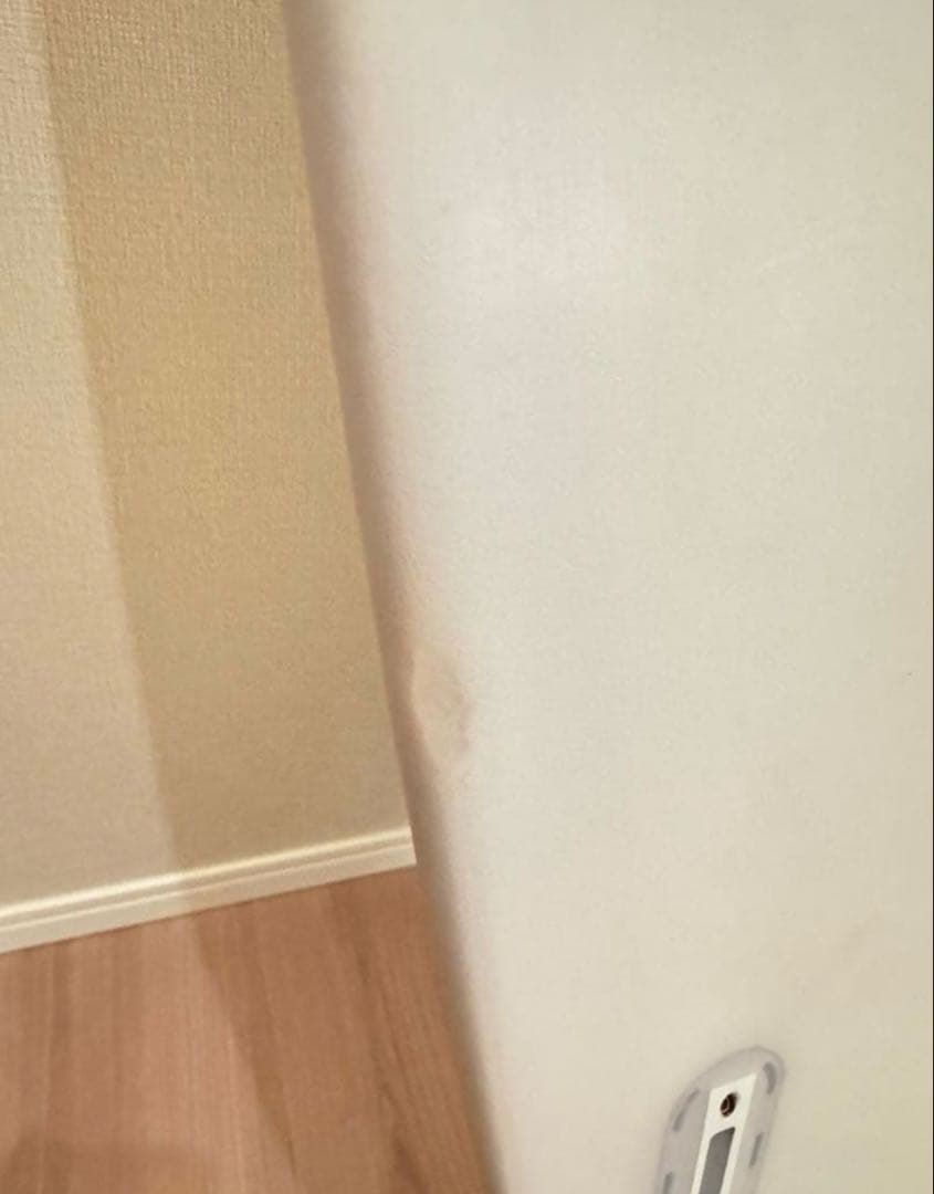 Hayden shapes ミッドレングス グライダー