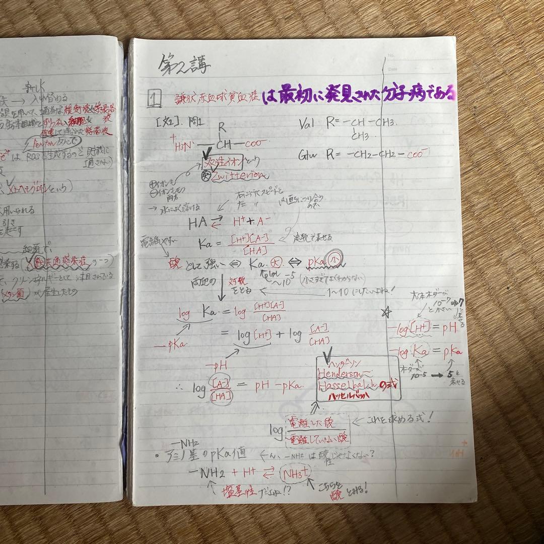 むう　生命科学2023年度完成シリーズ医学部学士編入 【講義ノートのみ】
