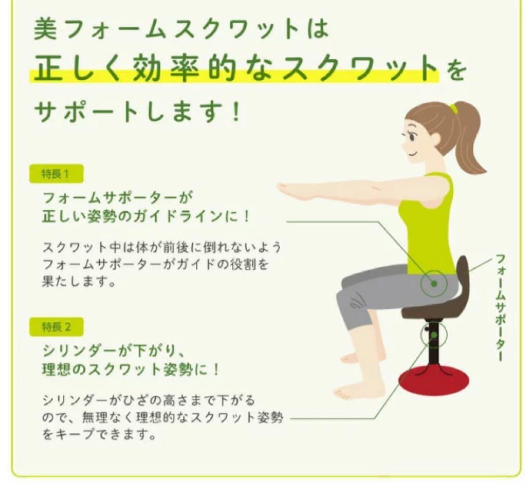 保阪尚輝 監修 美スクワット スクワット椅子マシン 上下運動 引き取り限定
