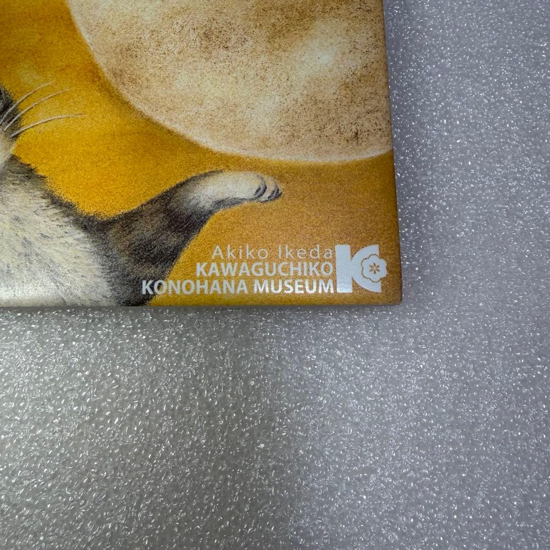 わちふぃーるど　ダヤン　15cm タイル　4枚セット