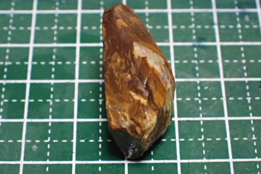 ウッドオパール　原石　オーストラリア　送料無料