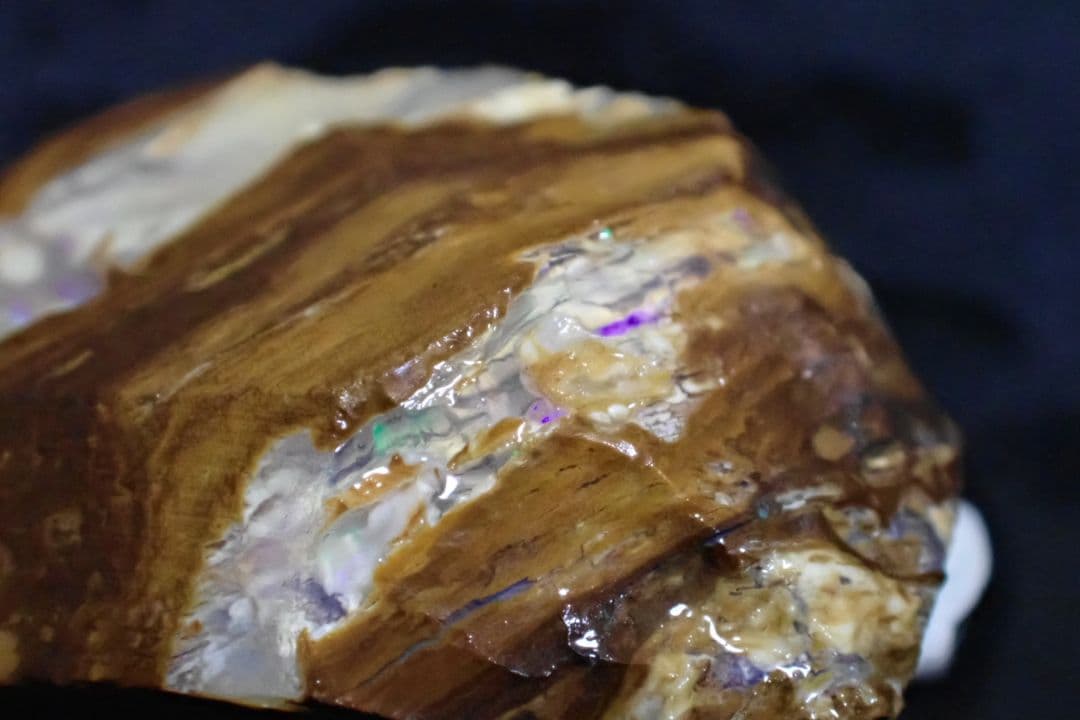 ウッドオパール　原石　オーストラリア　送料無料