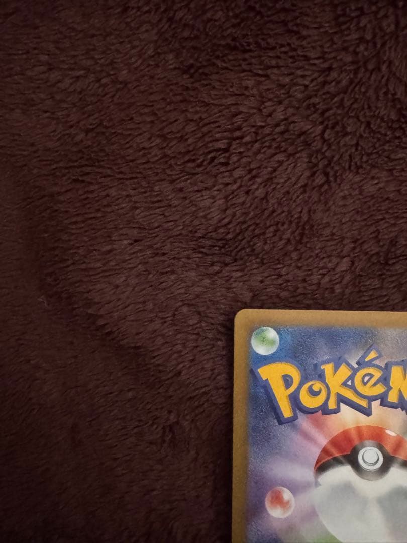 メイのはげまし トレーナーズ SAR