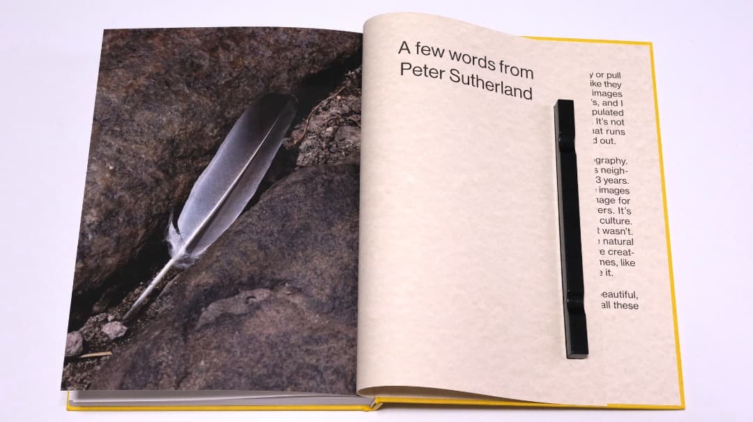 アート・デザイン・音楽 David Brandon Geeting - Neighborhood ...