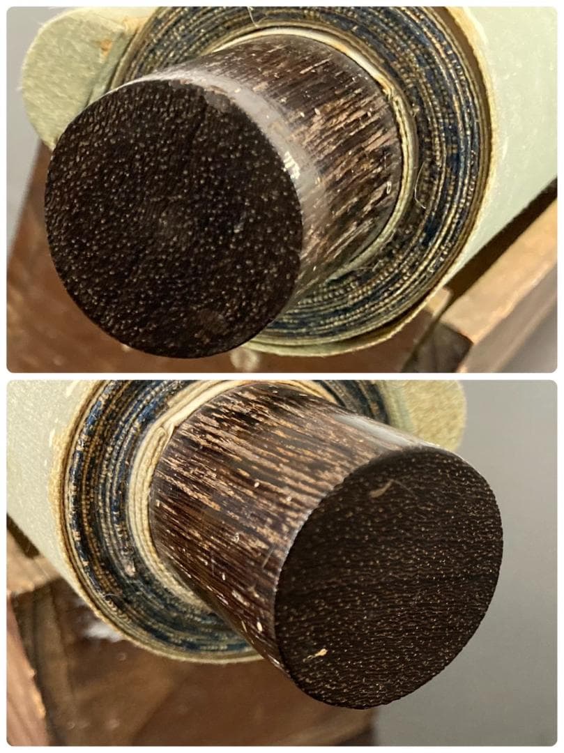 狩野方信「堅物」掛軸 絹本：花鳥画