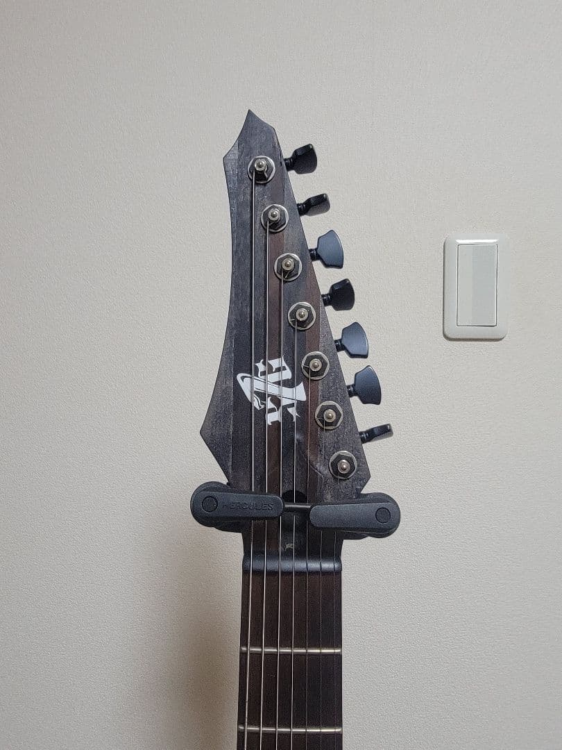 Strictly 7 Guitars S7G 7弦 エレキギター