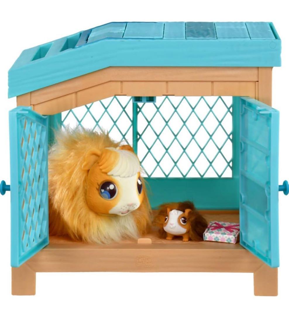 品薄❗️ 大人気　タカラトミー ママサプライズ！ うまれてアニマル モルモット