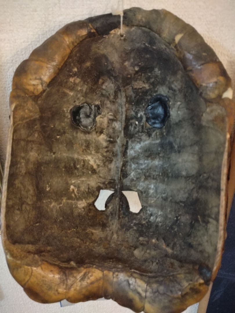 呪物　チベタンスカル　タートルスカル　チベット　チベット密教　法具　ヴィンテージ