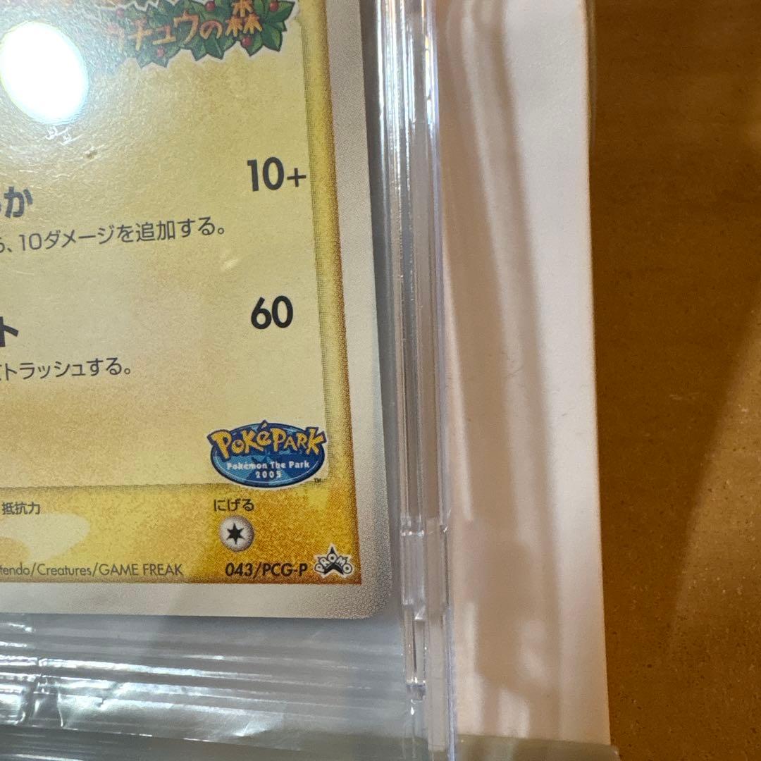 ポケパークのピカチュウ　プロモカード未開封