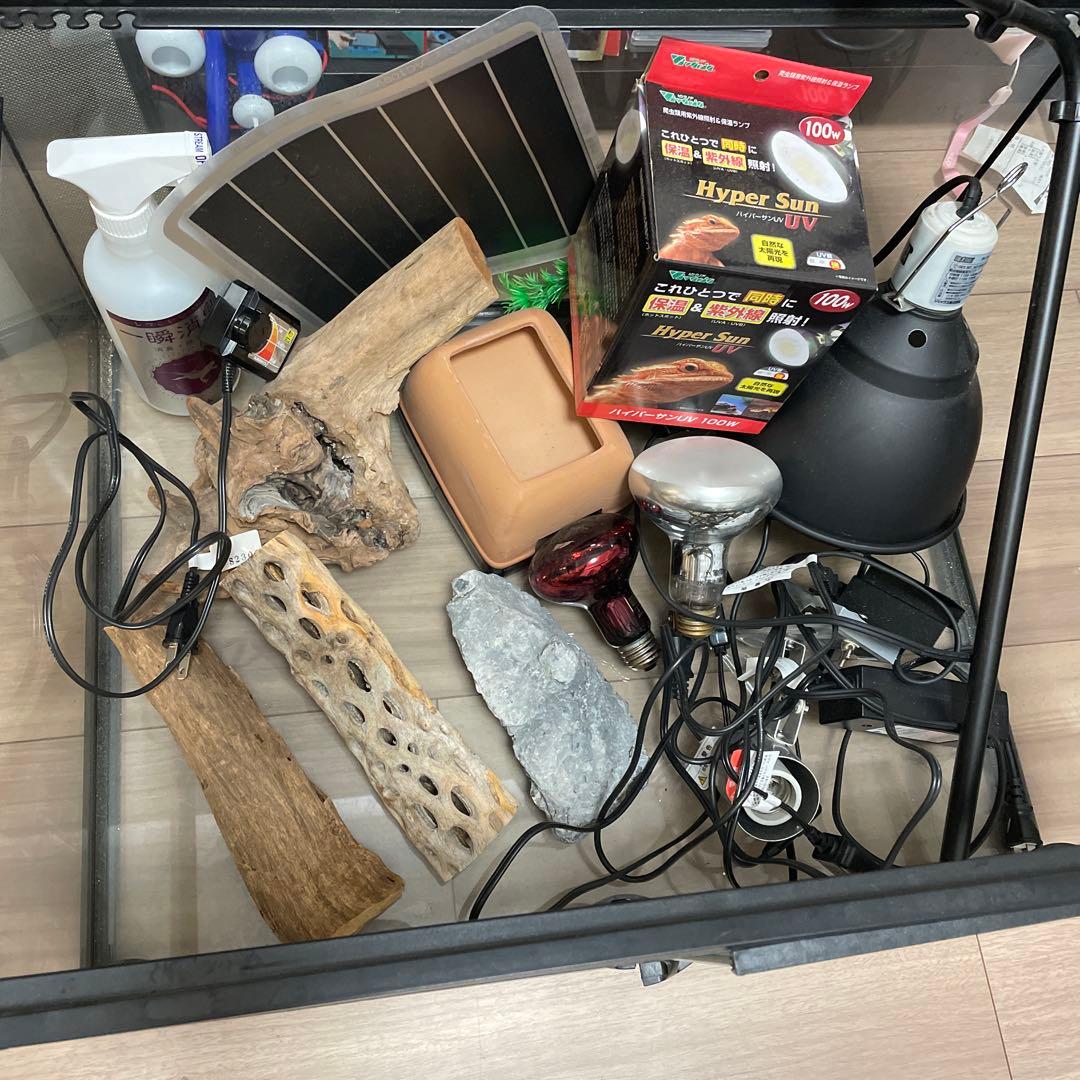 バラ売り可【引き取り限定】グラステラリウム6045 フトアゴ 飼育セット付き