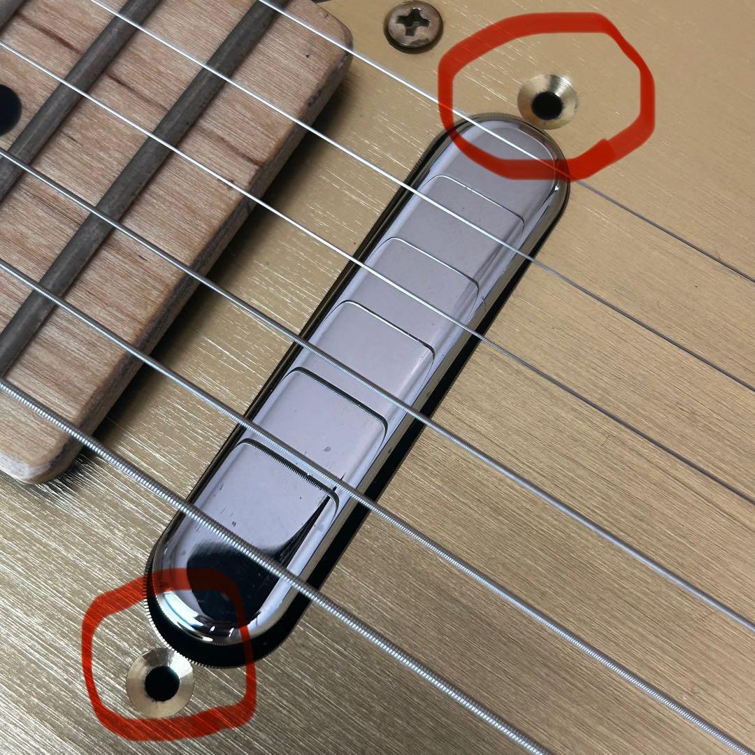 y*m様 ブラック＆ゴールド　超クールなテレキャスター　VH-1搭載　ハードケー